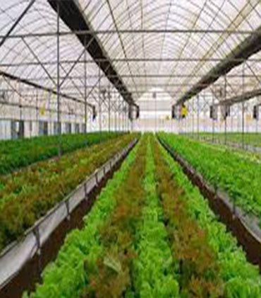 Techniques Agricoles
