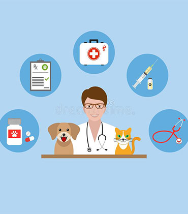 Faculté de Médecine Veterinaire