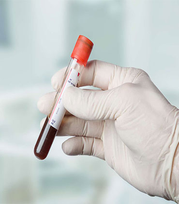 Sciences Infirmières